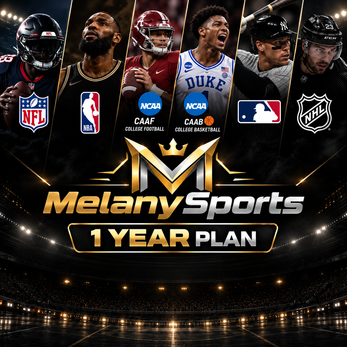 1 Year of MelanySports